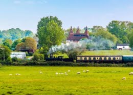 Steam Train in the countryside