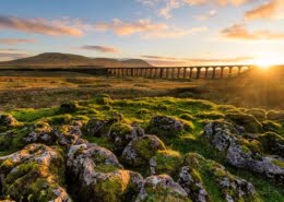 Countryside viaduct