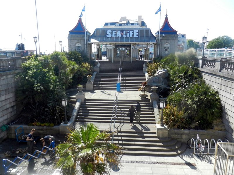 Sea Life Brighton