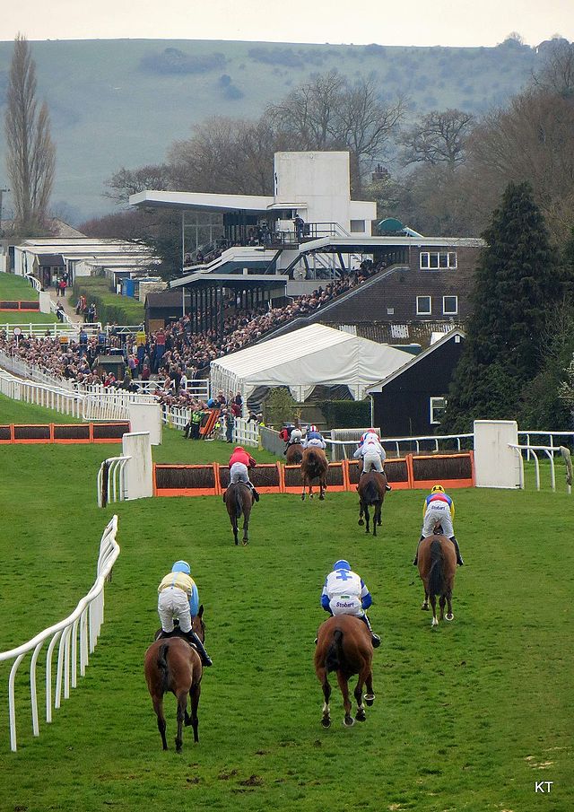 Plumpton Racecourse